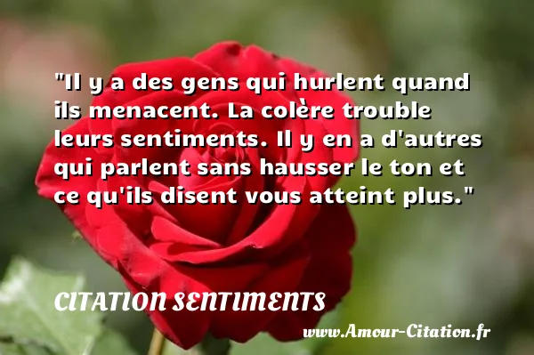 Il y a des gens qui hurlent quand ils menacent. La colère trouble leurs sentiments. Il y en a d autres qui parlent sans hausser le ton et ce qu ils disent vous atteint plus.  CITATION SENTIMENTS