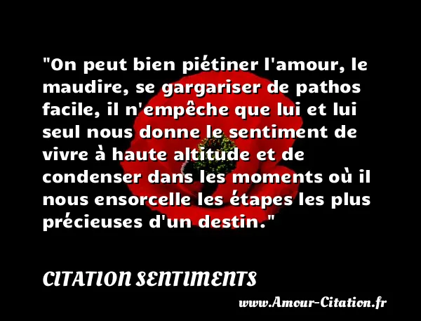 On peut bien piétiner l amour, le maudire, se gargariser de pathos facile, il n empêche que lui et lui seul nous donne le sentiment de vivre à haute altitude et de condenser dans les moments où il nous ensorcelle les étapes les plus précieuses d un destin.  CITATION SENTIMENTS