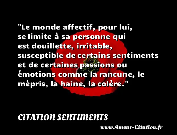 Le monde affectif, pour lui, se limite à sa personne qui est douillette, irritable, susceptible de certains sentiments et de certaines passions ou émotions comme la rancune, le mépris, la haine, la colère. CITATION SENTIMENTS