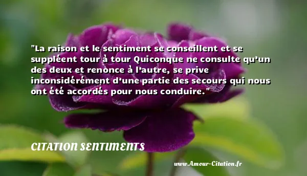 La raison et le sentiment se conseillent et se suppléent tour à tour Quiconque ne consulte qu’un des deux et renonce à l’autre, se prive inconsidérément d’une partie des secours qui nous ont été accordés pour nous conduire.  CITATION SENTIMENTS
