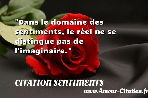 Dans le domaine des sentiments, le réel ne se distingue pas de l imaginaire.  CITATION SENTIMENTS