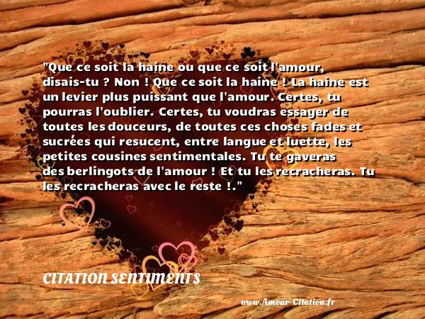 Que ce soit la haine ou que ce soit l amour, disais-tu ? Non ! Que ce soit la haine ! La haine est un levier plus puissant que l amour. Certes, tu pourras l oublier. Certes, tu voudras essayer de toutes les douceurs, de toutes ces choses fades et sucrées qui resucent, entre langue et luette, les petites cousines sentimentales. Tu te gaveras des berlingots de l amour ! Et tu les recracheras. Tu les recracheras avec le reste !. CITATION SENTIMENTS