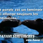  La parole est un laminoir qui allonge toujours les sentiments.  CITATION SENTIMENTS