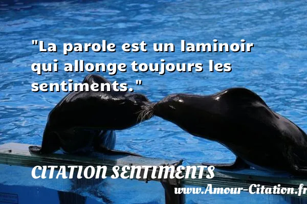La parole est un laminoir qui allonge toujours les sentiments. CITATION SENTIMENTS