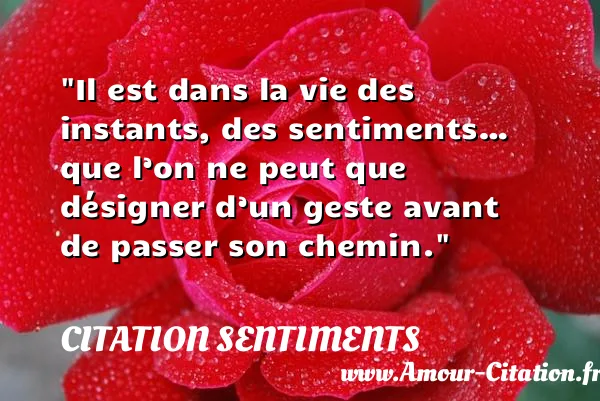 Il est dans la vie des instants, des sentiments… que l’on ne peut que désigner d’un geste avant de passer son chemin.  CITATION SENTIMENTS