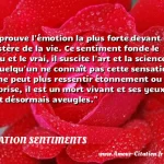  J éprouve l émotion la plus forte devant le mystère de la vie. Ce sentiment fonde le beau et le vrai, il suscite l art et la science. Si quelqu un ne connaît pas cette sensation ou ne peut plus ressentir étonnement ou surprise, il est un mort vivant et ses yeux sont désormais aveugles.  CITATION SENTIMENTS
