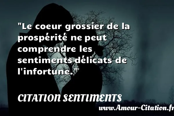 Le coeur grossier de la prospérité ne peut comprendre les sentiments délicats de l infortune. CITATION SENTIMENTS