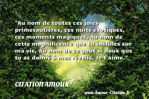 Au nom de toutes ces joies primesautières, ces nuits exotiques, ces moments magiques, Au nom de cette magnificence que tu instilles sur ma vie, Au nom de ce gout si doux que tu as donné à mes réveils, Je t aime.  CITATION AMOUR