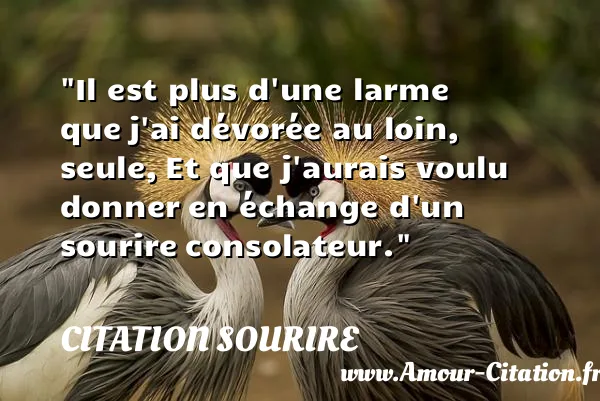 Il est plus d une larme que j ai dévorée au loin, seule, Et que j aurais voulu donner en échange d un sourire consolateur.  CITATION SOURIRE