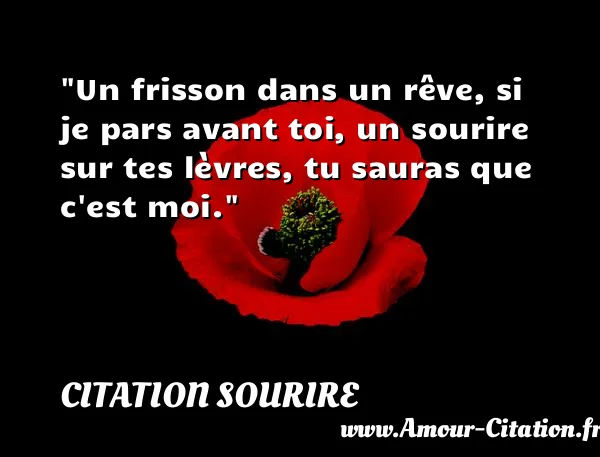 Un frisson dans un rêve, si je pars avant toi, un sourire sur tes lèvres, tu sauras que c est moi.  CITATION SOURIRE