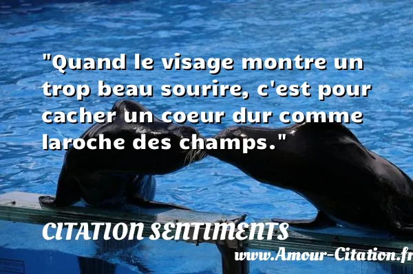 Quand le visage montre un trop beau sourire, c est pour cacher un coeur dur comme laroche des champs.  CITATION SENTIMENTS