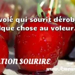 Le volé qui sourit dérobe Le volé qui sourit dérobe quelque chose au voleur. CITATION SOURIRE