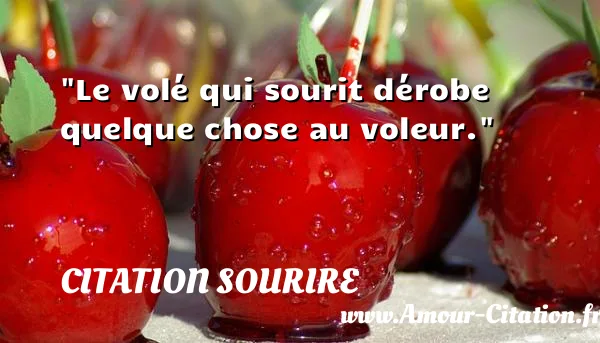 Le volé qui sourit dérobe quelque chose au voleur. CITATION SOURIRE