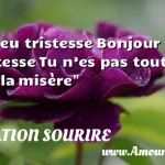  Adieu tristesse Bonjour tristesse Tu n’es pas tout à fait la misère  CITATION SOURIRE