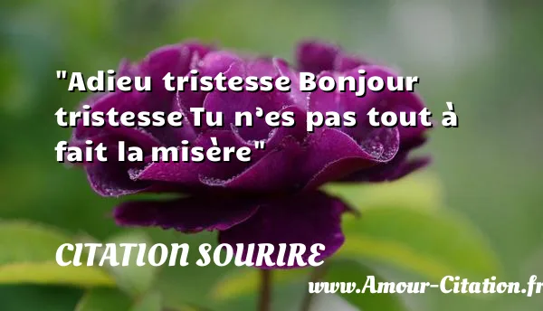 Adieu tristesse Bonjour tristesse Tu n’es pas tout à fait la misère CITATION SOURIRE