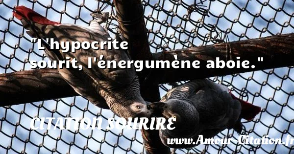 L hypocrite sourit, l énergumène aboie.  CITATION SOURIRE
