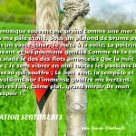  La musique souvent me prend comme une mer ! Vers ma pâle étoile, Sous un plafond de brume ou dans un vaste éther, Je mets à la voile; La poitrine en avant et les poumons gonflés Comme de la toile J escalade le dos des flots amoncelés Que la nuit me voile ; Je sens vibrer en moi toutes les passions D un vaisseau qui souffre ; Le bon vent, la tempête et ses convulsions Sur l immense gouffre me bercent. D autres fois, calme plat, grand miroir De mon désespoir !  CITATION SENTIMENTS