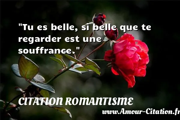 Tu es belle, si belle que te regarder est une souffrance.  CITATION ROMANTISME
