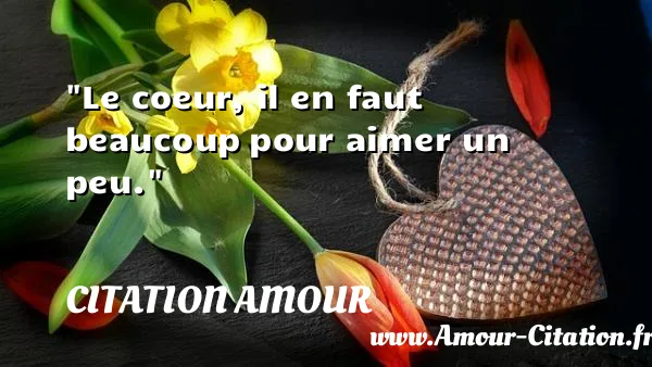 Le coeur, il en faut beaucoup pour aimer un peu. CITATION AMOUR