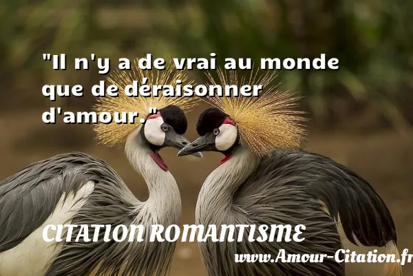 Il n y a de vrai au monde que de déraisonner d amour.  CITATION ROMANTISME