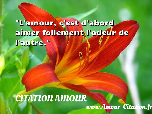 L amour, c est d abord aimer follement l odeur de l autre.  CITATION AMOUR