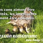  Les cons aiment être flattés, les intelligents aiment être critiqués.  CITATION ROMANTISME