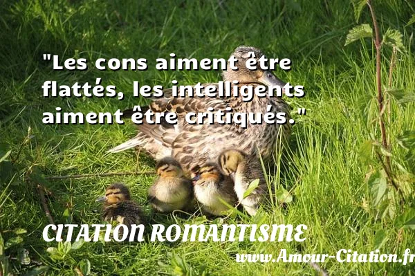 Les cons aiment être flattés, les intelligents aiment être critiqués.  CITATION ROMANTISME