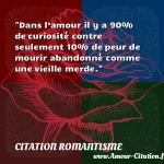  Dans l’amour il y a 90% de curiosité contre seulement 10% de peur de mourir abandonné comme une vieille merde.  CITATION ROMANTISME