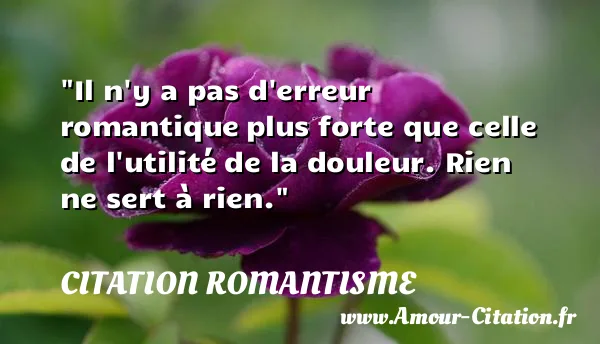 Il n y a pas d erreur romantique plus forte que celle de l utilité de la douleur. Rien ne sert à rien.  CITATION ROMANTISME