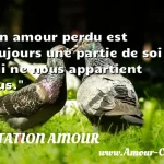  Un amour perdu est toujours une partie de soi qui ne nous appartient plus.  CITATION AMOUR