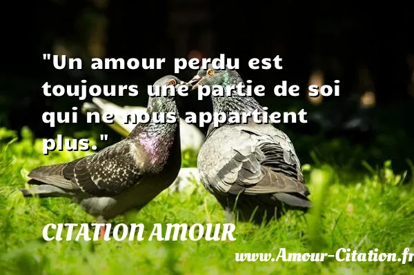 Un amour perdu est toujours une partie de soi qui ne nous appartient plus.  CITATION AMOUR