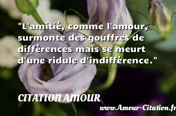 L amitié, comme l amour, surmonte des gouffres de différences mais se meurt d une ridule d indifférence.  CITATION AMOUR