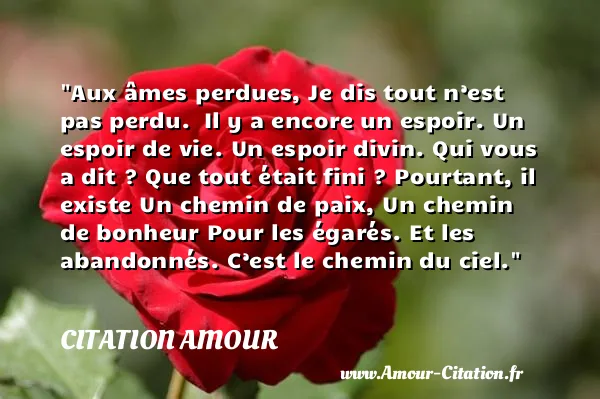Aux âmes perdues, Je dis tout n’est pas perdu.  Il y a encore un espoir. Un espoir de vie. Un espoir divin. Qui vous a dit ? Que tout était fini ? Pourtant, il existe Un chemin de paix, Un chemin de bonheur Pour les égarés. Et les abandonnés. C’est le chemin du ciel.  CITATION AMOUR