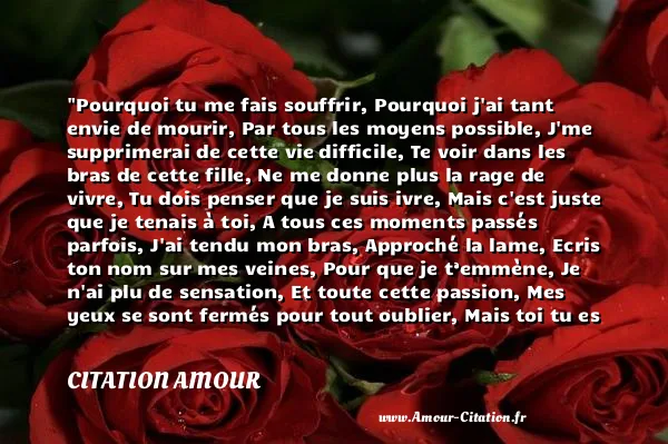 Pourquoi tu me fais souffrir, Pourquoi j ai tant envie de mourir, Par tous les moyens possible, J me supprimerai de cette vie difficile, Te voir dans les bras de cette fille, Ne me donne plus la rage de vivre, Tu dois penser que je suis ivre, Mais c est juste que je tenais à toi, A tous ces moments passés parfois, J ai tendu mon bras, Approché la lame, Ecris ton nom sur mes veines, Pour que je t’emmène, Je n ai plu de sensation, Et toute cette passion, Mes yeux se sont fermés pour tout oublier, Mais toi tu es gravé, Et plus rien ne pourra nous séparer ! !  CITATION AMOUR
