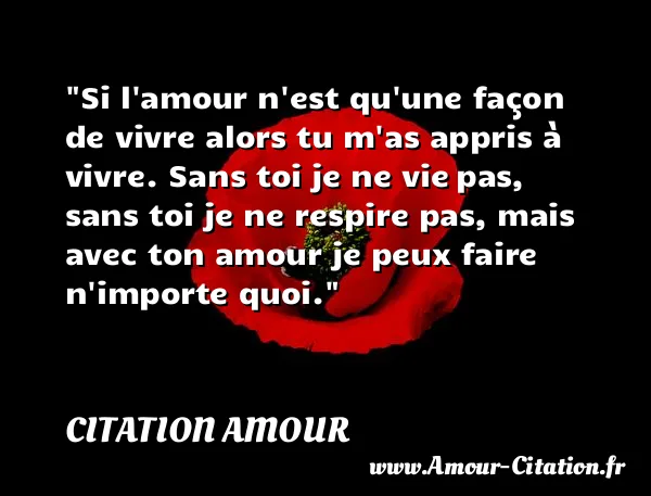 Si l amour n est qu une façon de vivre alors tu m as appris à vivre. Sans toi je ne vie pas, sans toi je ne respire pas, mais avec ton amour je peux faire n importe quoi.  CITATION AMOUR