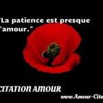  La patience est presque l amour.  CITATION AMOUR