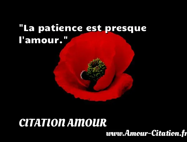 La patience est presque l amour.  CITATION AMOUR