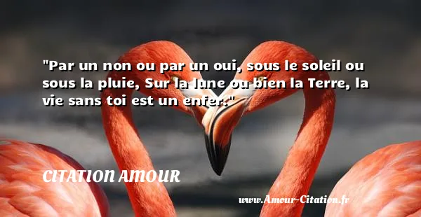 Par un non ou par un oui, sous le soleil ou sous la pluie, Sur la lune ou bien la Terre, la vie sans toi est un enfer.  CITATION AMOUR