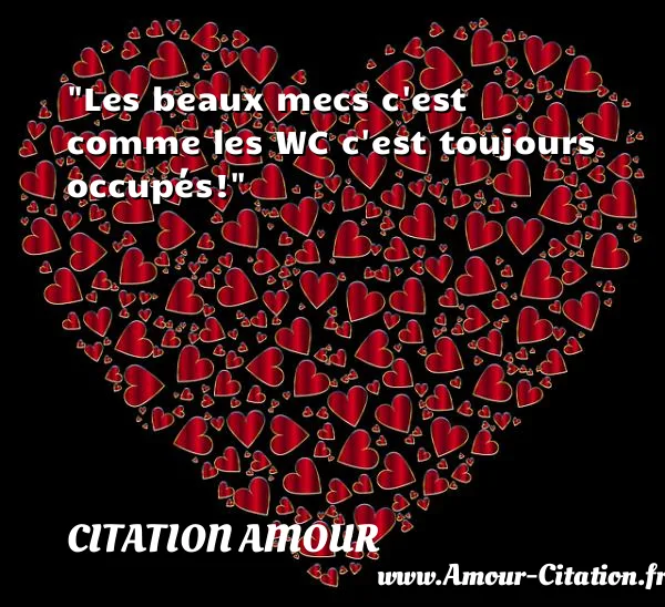 Les beaux mecs c est comme les WC c est toujours occupés!  CITATION AMOUR