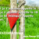  Si je t agresse appelle le 15, si je t allume appelle le 18 et si je te manque appelle moi.  CITATION AMOUR