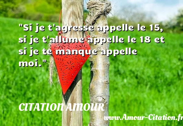 Si je t agresse appelle le 15, si je t allume appelle le 18 et si je te manque appelle moi.  CITATION AMOUR