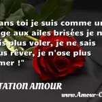  Sans toi je suis comme un ange aux ailes brisées je ne sais plus voler, je ne sais plus rêver, je n ose plus aimer !  CITATION AMOUR