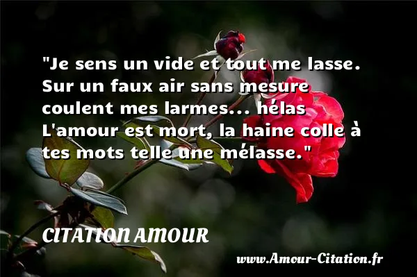 Je sens un vide et tout me lasse. Sur un faux air sans mesure coulent mes larmes... hélas L amour est mort, la haine colle à tes mots telle une mélasse.  CITATION AMOUR
