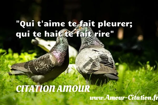 Qui t aime te fait pleurer; qui te hait te fait rire  CITATION AMOUR
