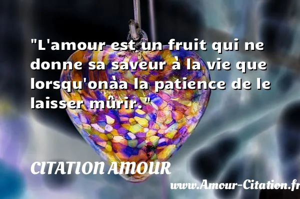 L amour est un fruit qui ne donne sa saveur à la vie que lorsqu onàa la patience de le laisser mûrir.  CITATION AMOUR