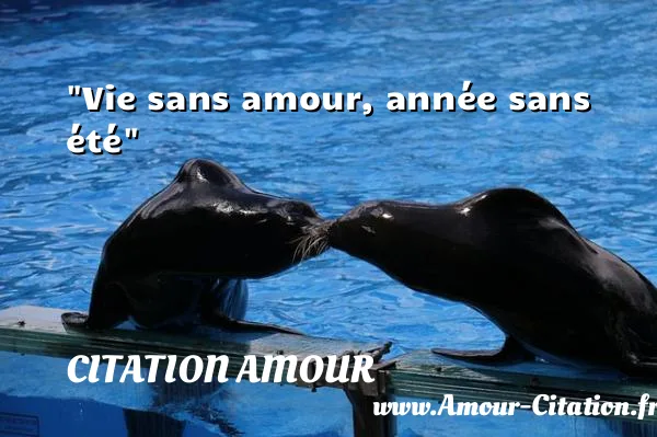 Vie sans amour, année sans été  CITATION AMOUR