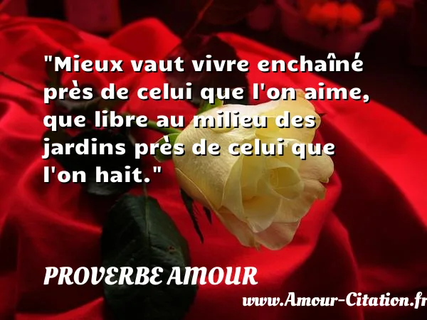 Mieux vaut vivre enchaîné près de celui que l on aime, que libre au milieu des jardins près de celui que l on hait.  PROVERBE AMOUR
