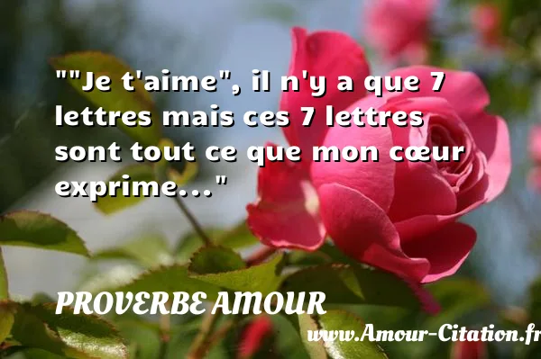 Je t aime , il n y a que 7 lettres mais ces 7 lettres sont tout ce que mon cœur exprime...  PROVERBE AMOUR