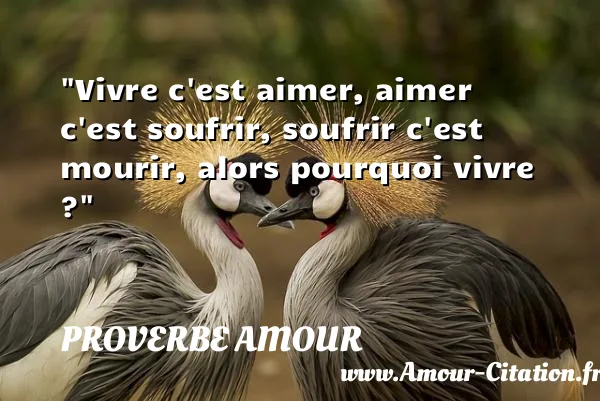 Vivre c est aimer, aimer c est soufrir, soufrir c est mourir, alors pourquoi vivre ?  PROVERBE AMOUR