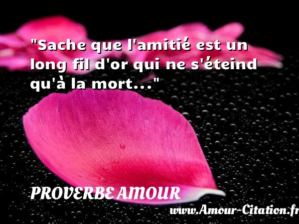Sache que l amitié est un long fil d or qui ne s éteind qu à la mort...  PROVERBE AMOUR